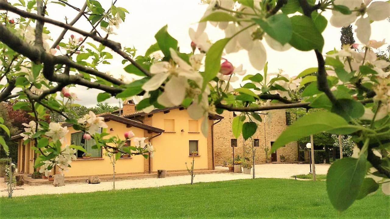 Agriturismo Il Podere Hotell Petrignano Eksteriør bilde