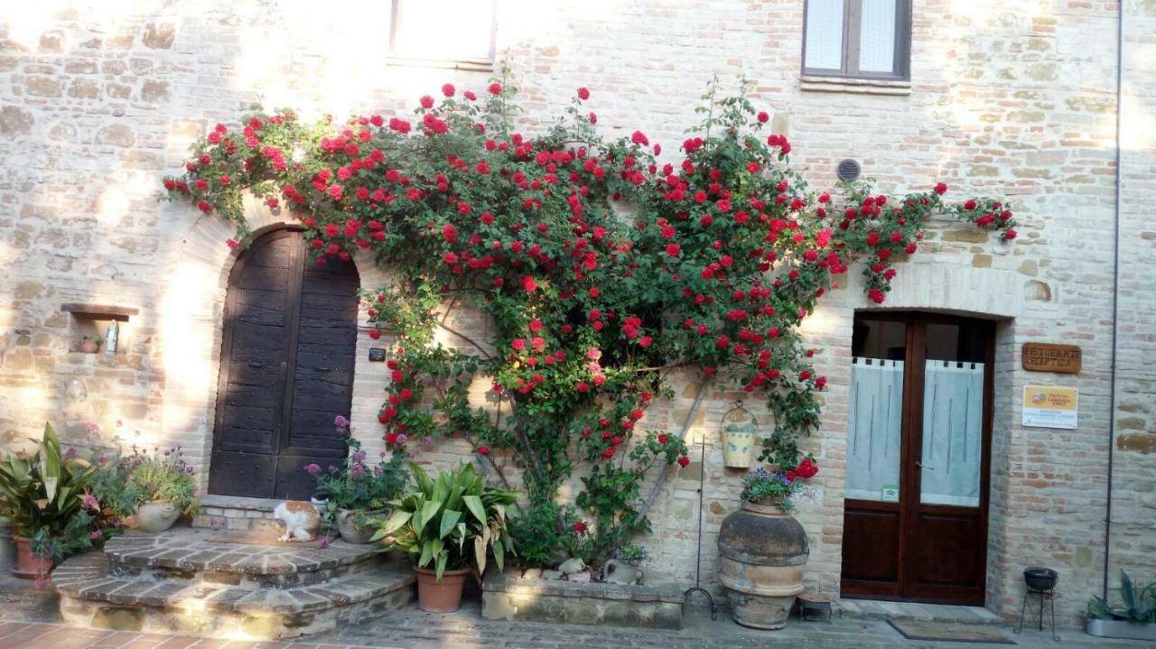 Agriturismo Il Podere Hotell Petrignano Eksteriør bilde
